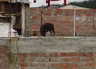 2007-04-25 Wednesday